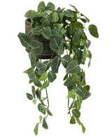 La pianta pensile artificiale Fittonia Verde-Bianco 70 cm ha foglie verdi sporgenti con venature bianche, che emergono da un elegante vaso marrone-nero, su uno sfondo bianco.
