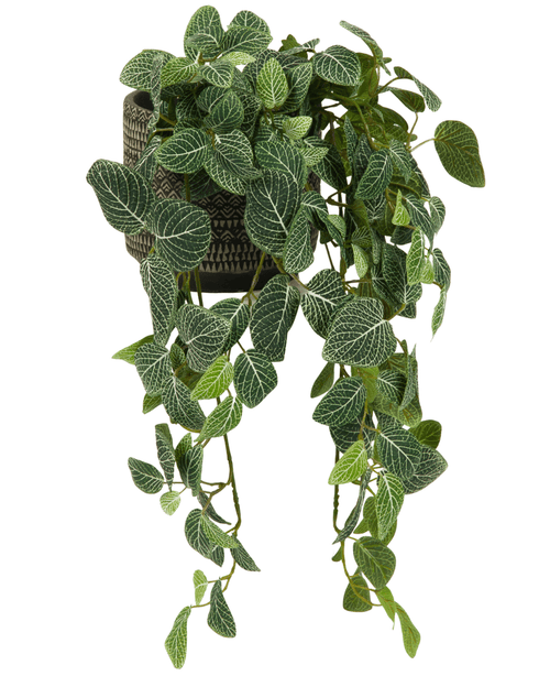 La pianta pensile artificiale Fittonia Verde-Bianco 70 cm ha foglie verdi sporgenti con venature bianche, che emergono da un elegante vaso marrone-nero, su uno sfondo bianco.