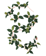 L'immagine mostra la Art Tradescantia Garland Green 180 cm a forma di S, con foglie verdi e steli sottili e rossastri su sfondo bianco.