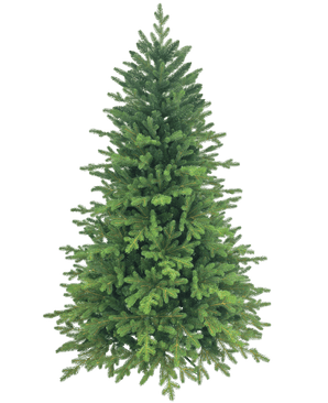 L'albero di Natale artificiale "Ibsen" in PE/PVC è pieno e verde con rami fitti su uno sfondo bianco, pronto per le tue decorazioni natalizie preferite.
