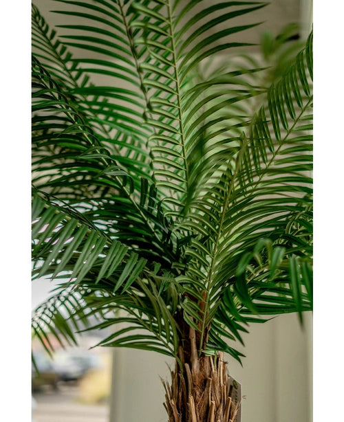 Primo piano della palma artificiale Phoenix De Luxe 210 cm, con foglie verdi lunghe e strette e un tronco marrone con texture, su uno sfondo leggermente sfocato.