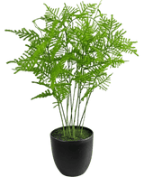 La pianta artificiale di asparagi da 59 cm ha foglie verdi rigogliose e delicate in un elegante vaso nero, su uno sfondo bianco fresco.