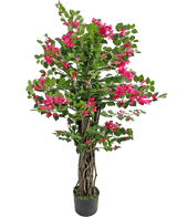La Bougainvillea artificiale da 120 cm ha steli marroni contorti, foglie verdi lussureggianti e fiori rosa vibranti, perfetti per aggiungere colore a qualsiasi spazio.