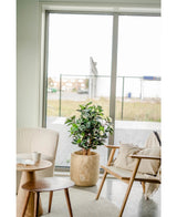 La pianta artificiale Camellia japonica 100 cm con foglie verdi e bianche si trova tra una poltrona beige e una sedia in legno con cuscini, accanto a un tavolino rotondo, davanti a grandi porte in vetro che si affacciano su uno spazio esterno.