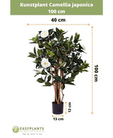Pianta artificiale Camellia japonica alta 100 cm e larga 40 cm, fornita in vaso nero da 13x12 cm. La rosa giapponese ha foglie verdi e fiori artificiali bianchi, raffigurati con dimensioni.
