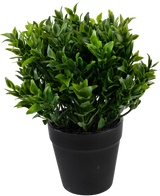 La pianta artificiale verde in vaso da 20 cm è una pianta artificiale verde rigogliosa con piccole foglie appuntite in un semplice vaso nero, perfetta per aggiungere verde vibrante al tuo spazio.