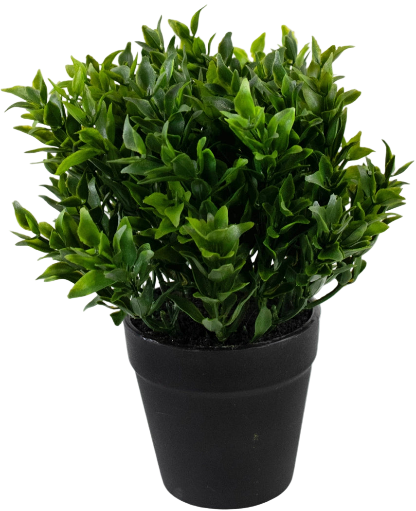 La pianta artificiale verde in vaso da 20 cm è una pianta artificiale verde rigogliosa con piccole foglie appuntite in un semplice vaso nero, perfetta per aggiungere verde vibrante al tuo spazio.