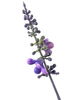 La lavanda artificiale in vaso decorativo da 51 cm ha un unico stelo alto con piccoli boccioli e fiori rotondi viola e verdi disposti verticalmente, su uno sfondo bianco.