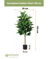 Pianta artificiale Pianta da gomma 150 cm con foglie verde scuro in un elegante vaso nero. Altezza: 150 cm, larghezza: 70 cm, diametro vaso: 18 cm, altezza vaso: 14 cm, ideale per vasi decorativi.