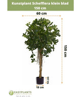 La Schefflera artificiale a foglia piccola 150 cm ha foglie piccole in un vaso decorativo, è alta 150 cm, larga 60 cm, con un'altezza del vaso di 14 cm e un diametro di 18 cm. Le misure sono indicate con frecce.