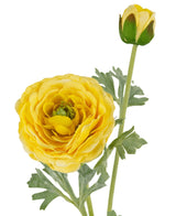 Il Ranuncolo artificiale Real Touch Giallo da 60 cm ha un realistico ranuncolo giallo in piena fioritura, con petali stratificati realistici, un bocciolo giallo chiuso e foglie verdi su uno sfondo bianco.