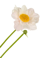 Un collare di rosa artificiale Real Touch Bianco/Rosa da 50 cm ha un singolo fiore rosa chiaro e bianco con un centro giallo, stelo verde e un bocciolo chiuso, il tutto isolato su uno sfondo bianco.