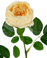 La rosa da giardino artificiale "Anniken" Real Touch gialla da 72 cm ha una rosa giallo chiaro che sboccia con petali stratificati e foglie verdi sullo stelo, su uno sfondo bianco.