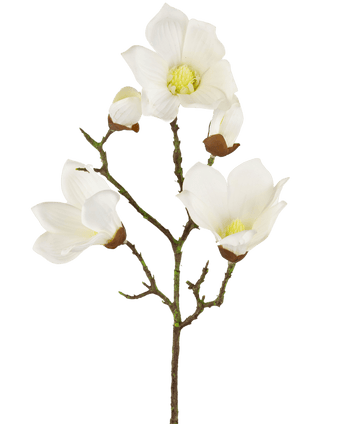 Magnolia Artificiale Real Touch Bianco 72cm