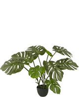Monstera artificiale 50 cm