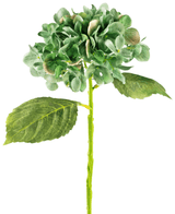 Ortensie finte Deluxe 33 cm verde scuro