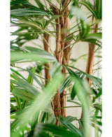 Palma finta Lady 210 cm