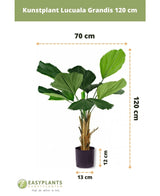 Palma finta Lucuala Grandis 120 cm