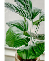 Palma finta Lucuala Grandis 120 cm