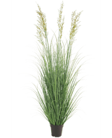 Pianta d'erba artificiale Grano 150 cm