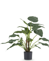 Piante Finte Alocasia Cucullata 53 cm