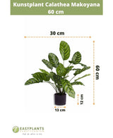 Piante Finte Calathea Makoyana 60 cm
