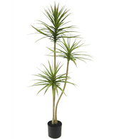Piante Finte Dracaena Fragnans 150 cm
