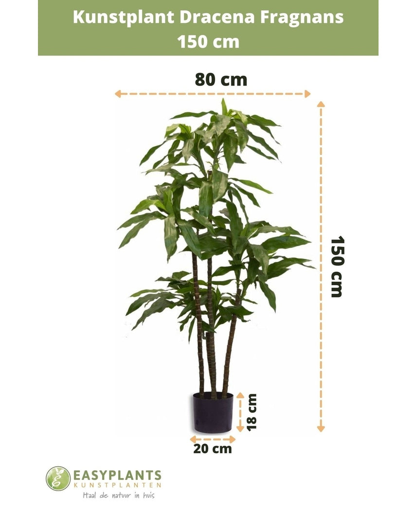Piante Finte Dracena Fragnans 150 cm