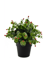 Piante Finte Eucalipto rosso in vaso 22 cm UV
