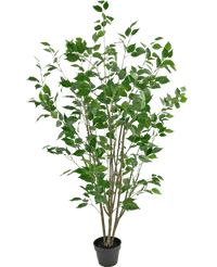 Piante Finte Ficus 150 cm