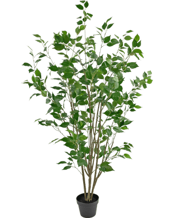 Piante Finte Ficus 150 cm