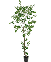 Piante Finte Ficus 210 cm