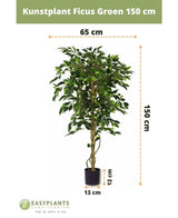 Piante Finte Ficus Verde 150 cm