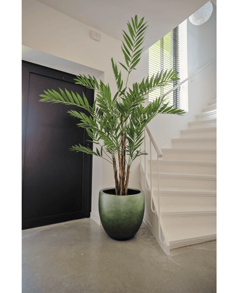 Piante Finte Hawaii Parlour 180 cm