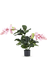 Piante Finte Medinilla 60 cm