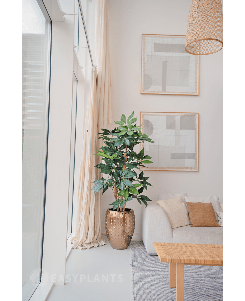 Piante Finte Schefflera 150 cm