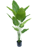 Piante Finte Strelitzia 150 cm real touch