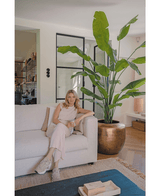 Piante Finte Strelitzia Nicolai Deluxe 235 cm