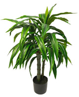 Piante Finte di Dracaena 100 cm