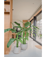 Piante Finte di banano Deluxe 140 cm in seta