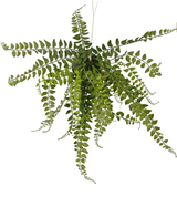 Piante Finte sospesa Palla di felce 45 cm