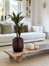 Un soggiorno moderno con un divano bianco, cuscini verdi e marroni, un tavolino in legno decorato con candele e la pianta di Agave artificiale 76 cm, e una decorazione murale a rete. La luce naturale entra dalle finestre dietro il divano.
