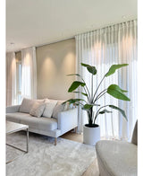 Un soggiorno moderno con un divano grigio chiaro, cuscini bianchi, la pianta artificiale Strelitzia Real Touch già pronta in un vaso beige da 180 cm, tende bianche trasparenti, un tappeto beige e una morbida luce naturale che entra dalle finestre.