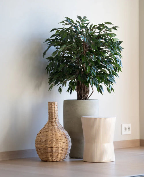 Una pianta artificiale Ficus Liana da 90 cm si trova in una fioriera grigia accanto a un vaso intrecciato e uno sgabello leggermente scanalato, il tutto su un pavimento di legno contro una semplice parete bianca.