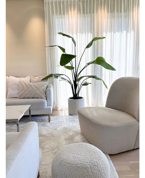 Soggiorno luminoso e moderno con divano bianco, poltrona rotonda e pouf. Una pianta artificiale Strelitzia Real Touch di 180 cm già pronta in un vaso beige si trova accanto a tende trasparenti. Un accogliente arredamento neutro con un morbido tappeto e cuscini completa il look.