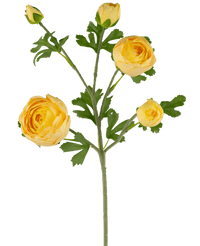 Ramo artificiale Ranunculus x5 Real Touch giallo 62 cm