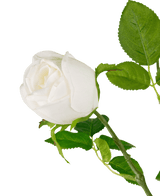 Ramo di rosa artificiale Real Touch bianco 72 cm