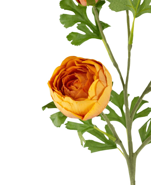 Il ramo di ranuncolo artificiale x5 Real Touch arancione da 62 cm presenta cinque ranuncoli arancioni artificiali con petali a strati e foglie verdi su uno stelo, perfetti per composizioni, visualizzati su uno sfondo bianco.