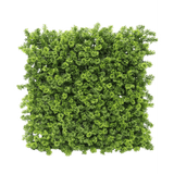 Siepe artificiale Muschio 50x50 cm UV