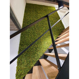 Siepe artificiale Nordic Moss 50x50 cm UV